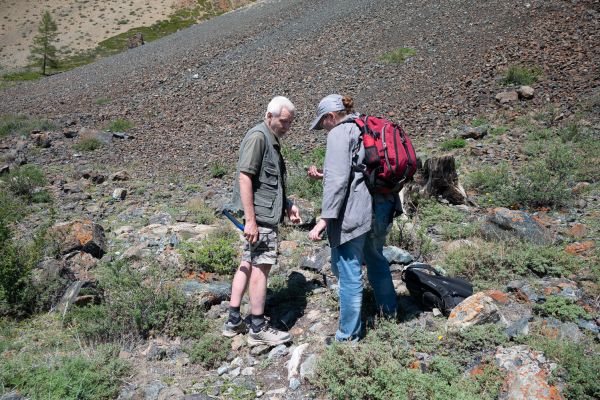2026-dobr-nsk-altay-1116E3CFDEB-194F-B2D4-0892-B2C444A45626.jpg