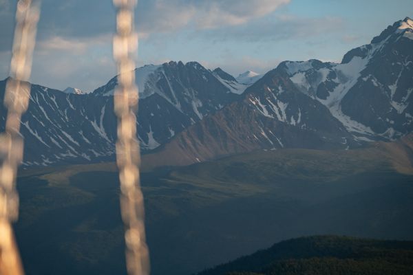 2026-dobr-nsk-altay-135A9A9E41E-FDE1-5B6C-09D3-B94FEDE6A8D8.jpg